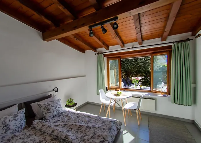 Rustico Al Sole - Just Renewed 1Bedroom Home In Ronco Sopra Ascona