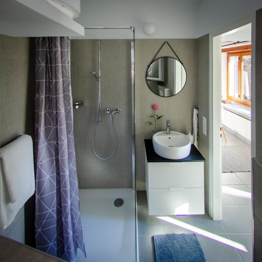 Rustico Al Sole - Just Renewed 1bedroom In * Ronco sopra Ascona
